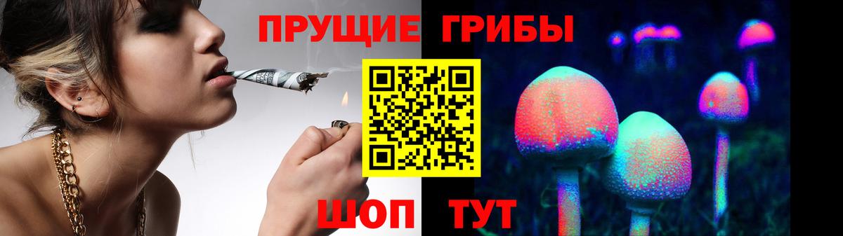 Галлюциногенные грибы Magic Shrooms  Вход с VPN  цены   Керчь 